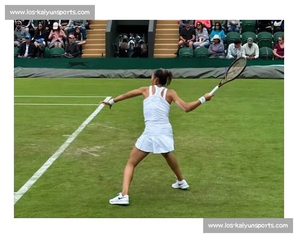 郑钦文伤退柏林草地赛 以五号种子身份全力备战温网